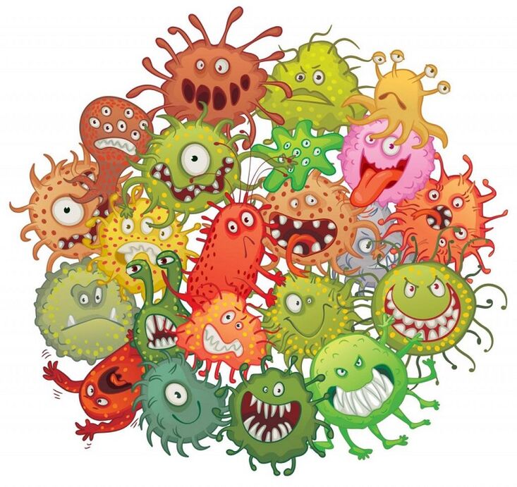 menschliche Mikroben und Würmer wie man sie eliminiert