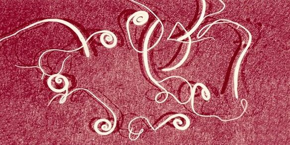 Madenwürmer des menschlichen Körpers