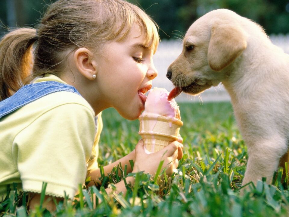 Mädchen und Hund essen Eis und infizieren sich mit Parasiten